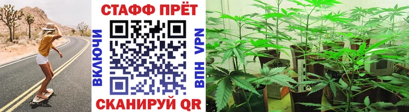 Купить закладку Псилоцибиновые грибы  Мефедрон  Alpha PVP  Марихуана  ГАШИШ  Кокаин  Комсомольск