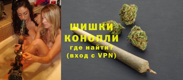 прущие грибы Верея