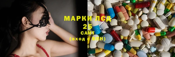 прущие грибы Верея