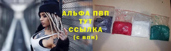 прущие грибы Верея