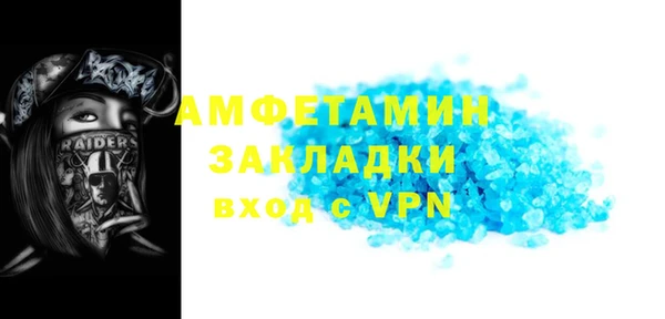 прущие грибы Верея