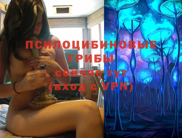 прущие грибы Верея