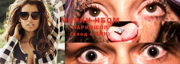 прущие грибы Верея