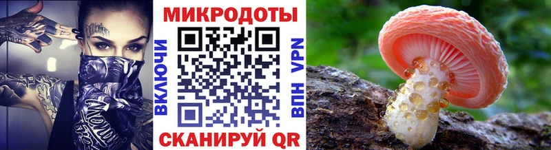 Галлюциногенные грибы Psilocybine cubensis  Купить закладки  Комсомольск 
